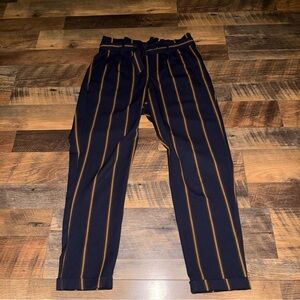 Zara Navy Blue Pants with Tan Vertical Stripes
